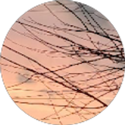 Profile photo of Geri Deskin