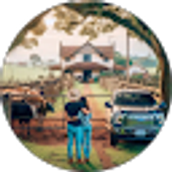 Profile photo of canpi informa