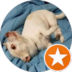 Profile photo of Thai Onprasert