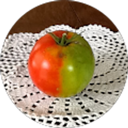 Profile photo of David P Cohn