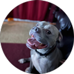 Profile photo of Krystian Walker