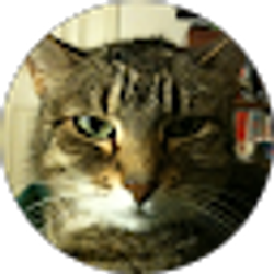 Profile photo of Kim R