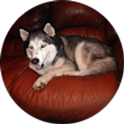 Profile photo of Samantha Donaldson