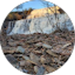 Profile photo of J Le