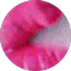 Profile photo of Pedro Garcia