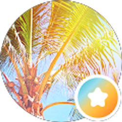 Profile photo of Steve Kent