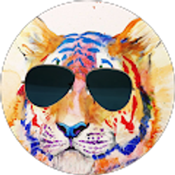 Profile photo of TigerOnTop