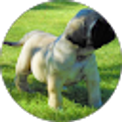 Profile photo of Carlos Ramirez