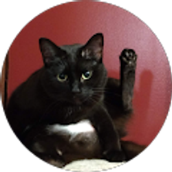 Profile photo of Traxxas Scott