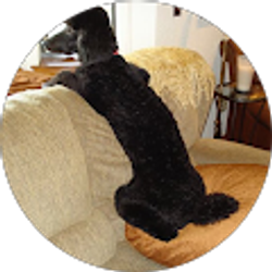 Profile photo of Jenny Tyler