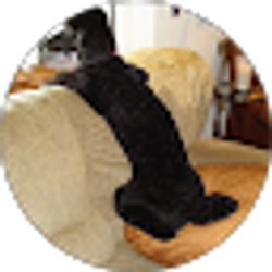Profile photo of Jenny Tyler