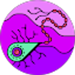 Profile photo of toni rivera