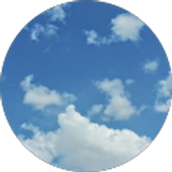 Profile photo of Evelia Munoz