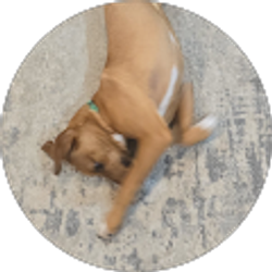 Profile photo of Trey Kelley