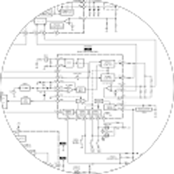 Profile photo of jaime monteiro