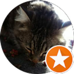 Profile photo of MR Dixon