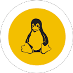 Profile photo of Saleem Raza