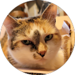 Profile photo of Vickie Stone