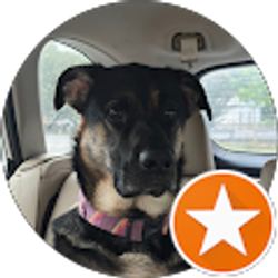 Profile photo of Brendan Crowe