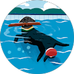 Profile photo of Karmelia Hall