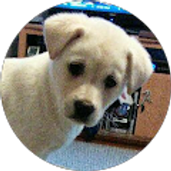 Profile photo of Sharon Van Eps