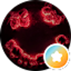 Profile photo of Nick Burkhard