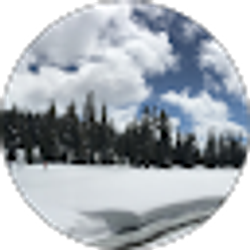 Profile photo of Kelly Vieyra