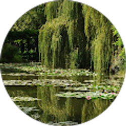 Profile photo of Arieanna Westbrooks