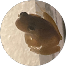 Profile photo of Jana M