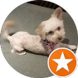 Profile photo of Arlene B