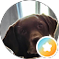Profile photo of Mary Joyce
