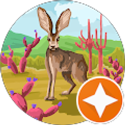 Profile photo of ED Finley