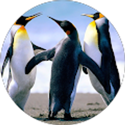 Profile photo of jonathan Santamaria