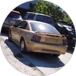 Profile photo of Kairos Jussani