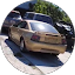 Profile photo of Kairos Jussani