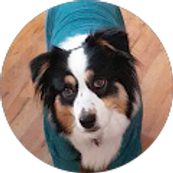 Profile photo of Mark Baum