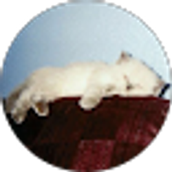Profile photo of Zane