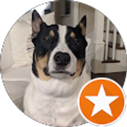 Profile photo of Cheryl F