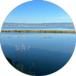 Profile photo of Yang Hu