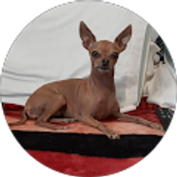 Profile photo of Mari Lopez