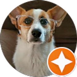 Profile photo of Michael Ritzius