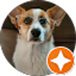 Profile photo of Michael Ritzius