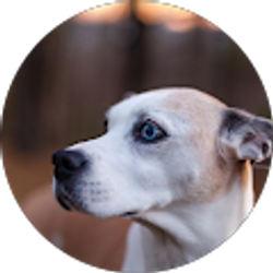 Profile photo of Annie