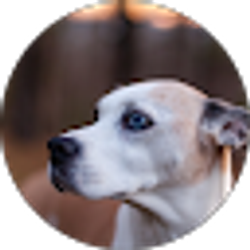 Profile photo of Annie