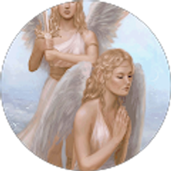 Profile photo of S Nova