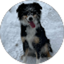 Profile photo of Kathleen Fister