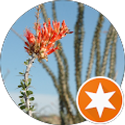 Profile photo of Allyson Kermath