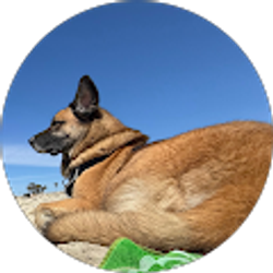 Profile photo of James Lopez