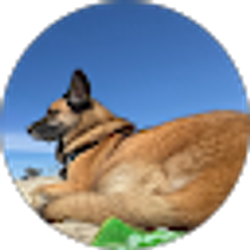 Profile photo of James Lopez
