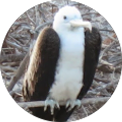 Profile photo of Jim Martin